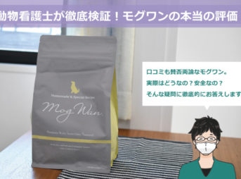 動物看護士が徹底検証！モグワンの本当の評価